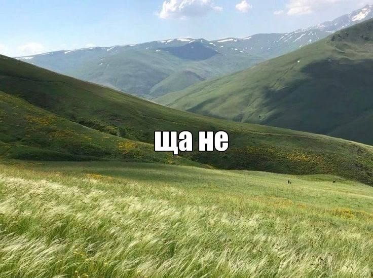 Мой онлайн-статус — Chernika_Rofl · Стрекоза