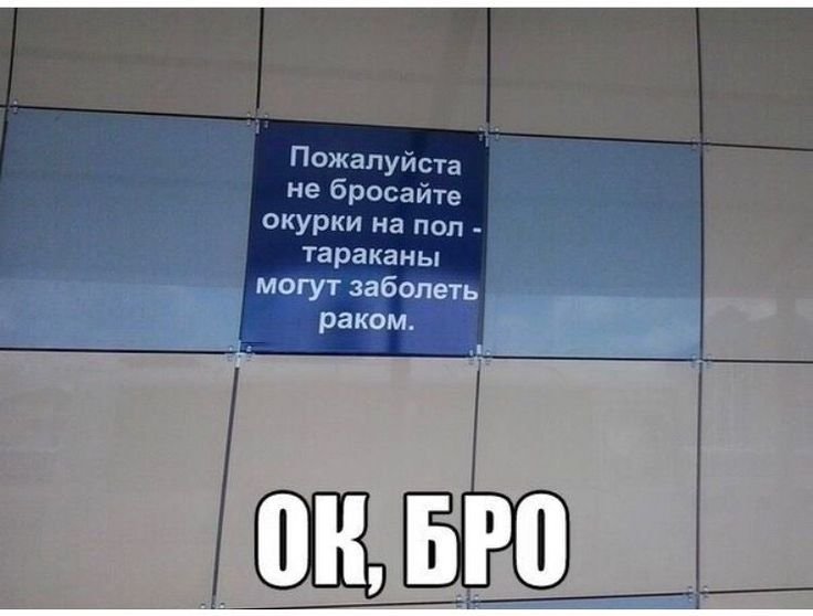 У меня уже 200 звёзд, планы на следующий день: 1. обогнать Шадоу по з… — Kpekepp · Стрекоза