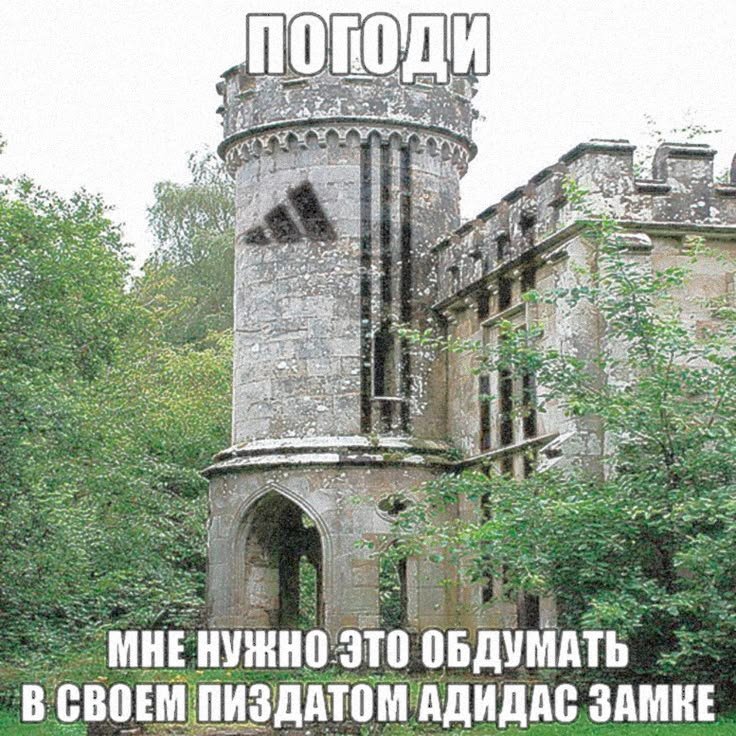 сегодня работаю самозанято. никто не любит бимбочку нигде, потому уво… — бимбо? · Стрекоза