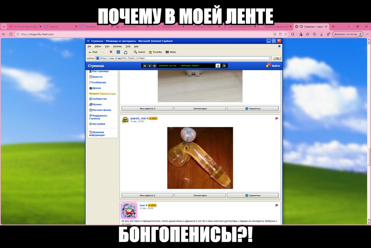 почему??! — Homer_SAN · Стрекоза