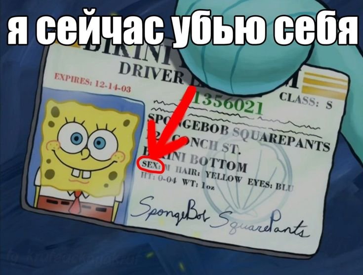 Хипергамия – как я ее вижу Хипергамия - это не про "продажность" и не… — причины одиночества или почему тебе даже психолог не поможет · Стрекоза