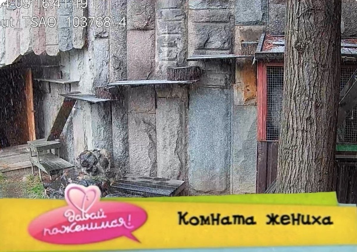 обзор моей комнаты. — Oleja_Pivotryas · Стрекоза