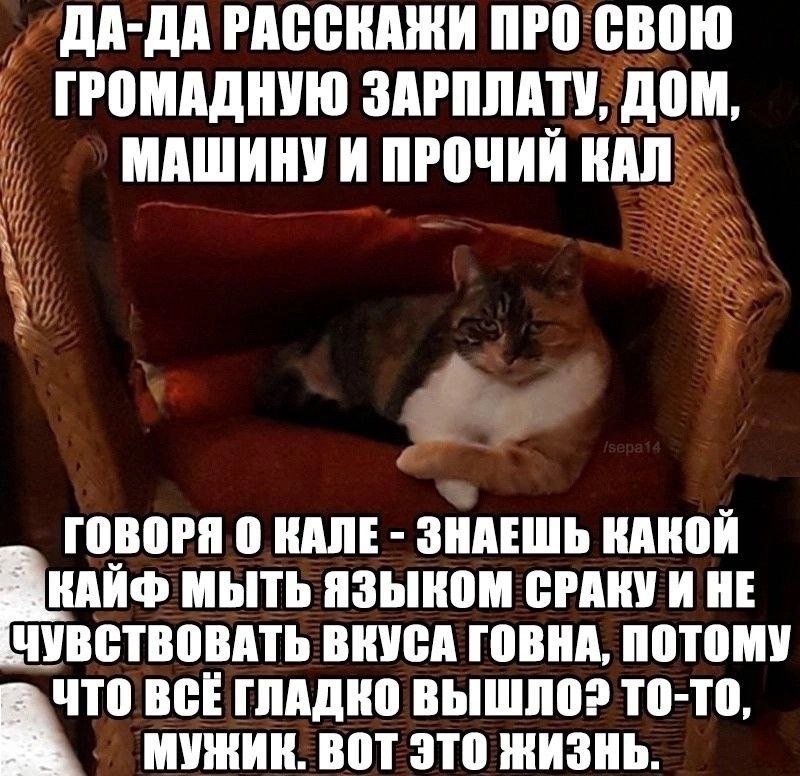 Вот она жизненная мудрость — GALAYX · Стрекоза