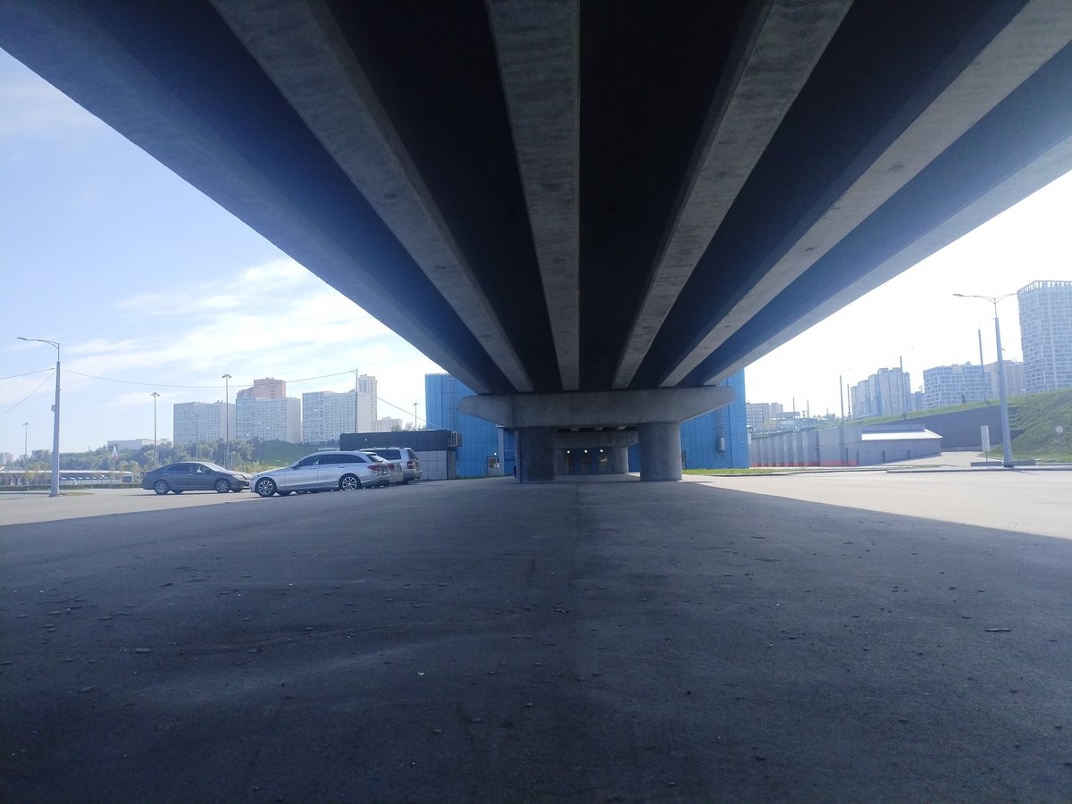 Мост — Grech_023 · Стрекоза