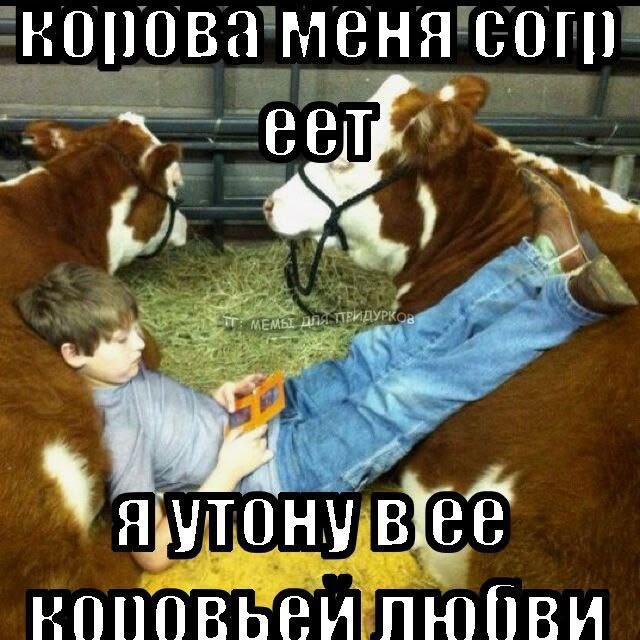 сегодня объявляю день полного морального и физического разложения. до… — eria_v · Стрекоза