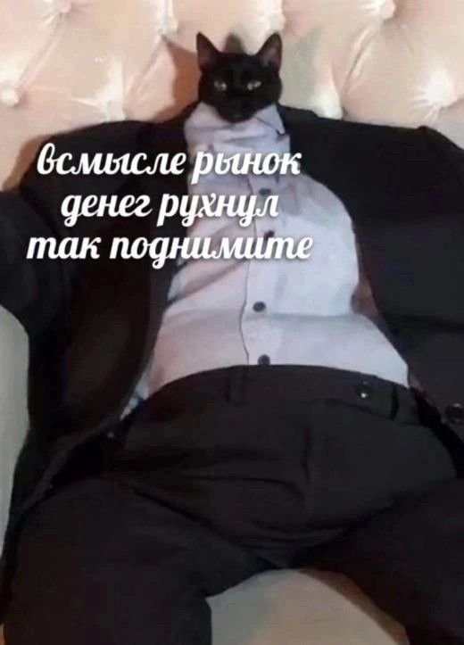 Поднимите — kussooqa · Стрекоза