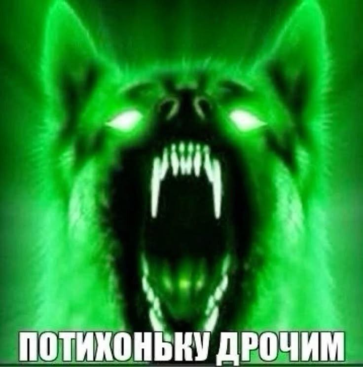 Два дня я убил на то чтобы попытаться воскресить подаренное мне цифро… — mould · Стрекоза