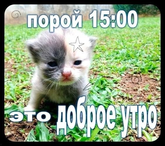 через пол часика будет доброе утро, но я уже сейчас пожелаю всем добр… — глупи паблик · Стрекоза