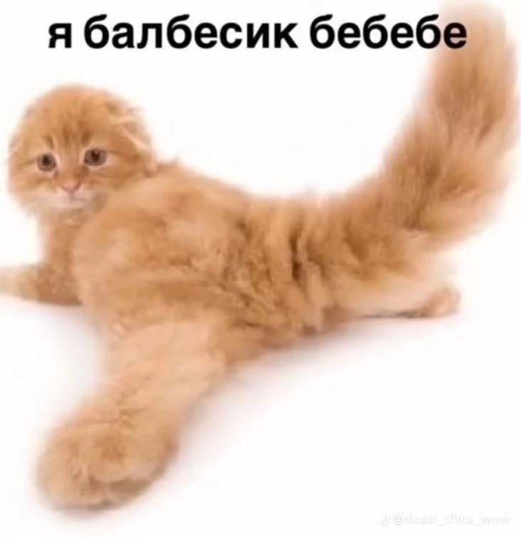бебебе — глупи паблик · Стрекоза