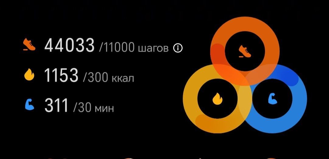 Съездил. Не стоило того. — Terra · Стрекоза