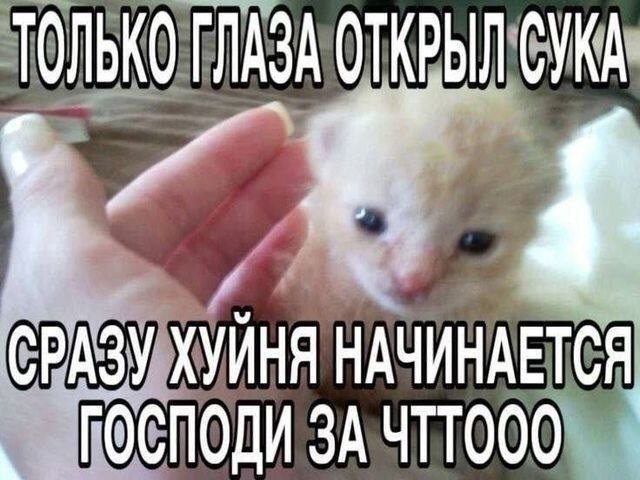 недвихужа для новичка, как пиво без рывка ШТОРМИТ — Sttaken · Стрекоза