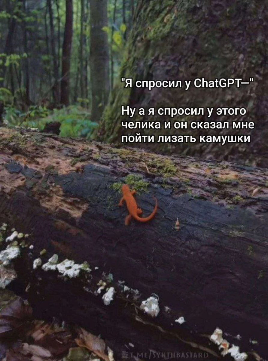 Довольно долго незаслуженно игнорировал ChatGPT и всю эту LLM братию,… — Kotofeycommander · Стрекоза