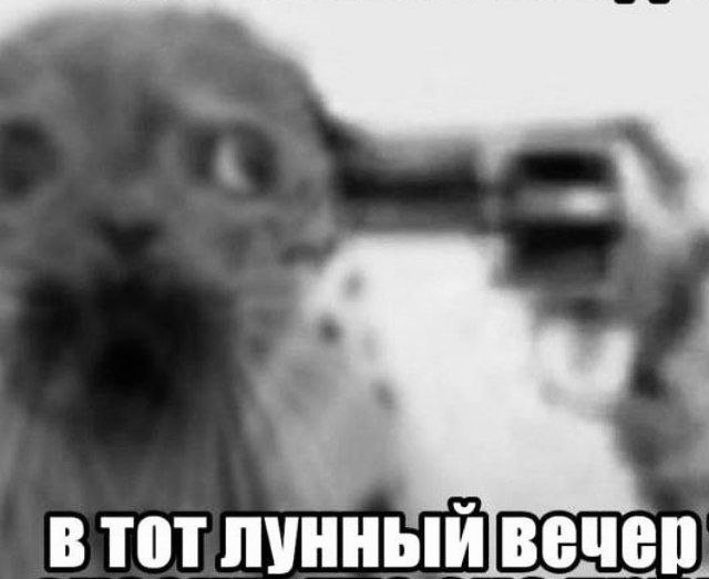 всем привет !!! — yukii · Стрекоза