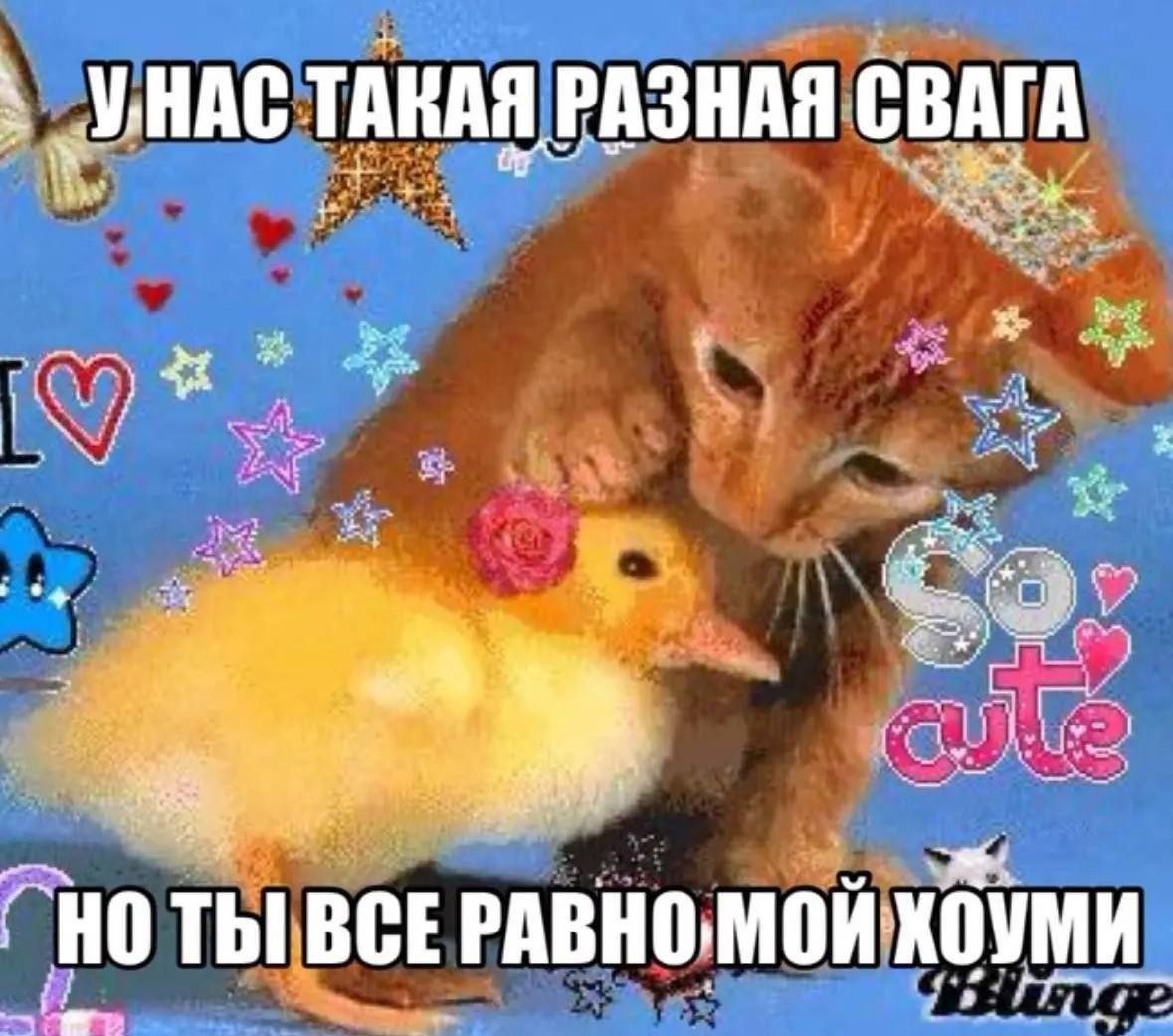 MerHersonа посвящается. — Oleja_Pivotryas · Стрекоза