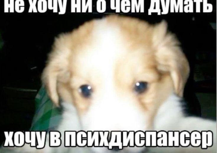через две недели осень — soukeye · Стрекоза