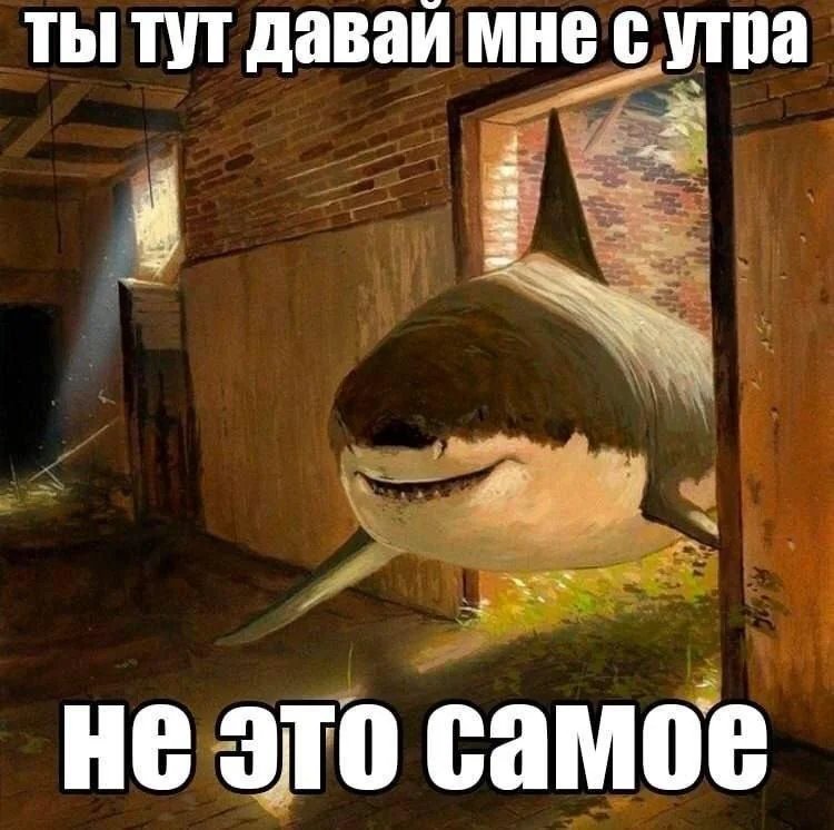 5 МИНУТ ПЯТЬ МИНКТ ПЯТЬ МИНУТ!?????!!!!!! — SunFlower2007 · Стрекоза