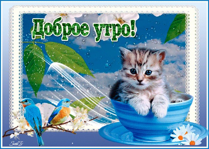доброе утро, стрекозы! желаю всем хорошего дня, всех лю! — xen · Стрекоза