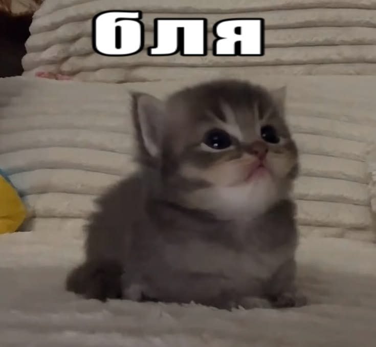 Доброе утро, мне сегодня 22 — bjorn_skarsgard · Стрекоза