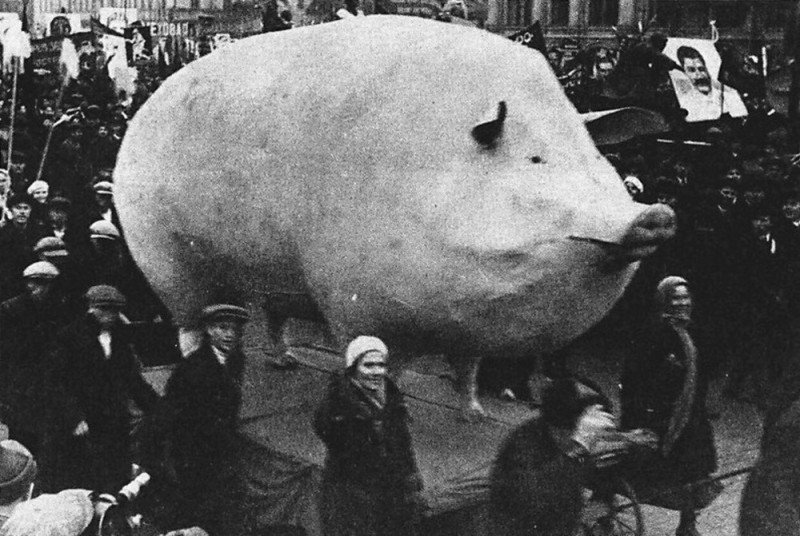мне подарили мини-принтер, скинь смешные мемы чтобы я их распечатал — inetzombi · Стрекоза