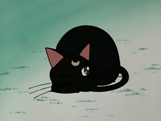 .・。.・゜✭・Гифка.・✫・゜・。. — Zetaler · Стрекоза