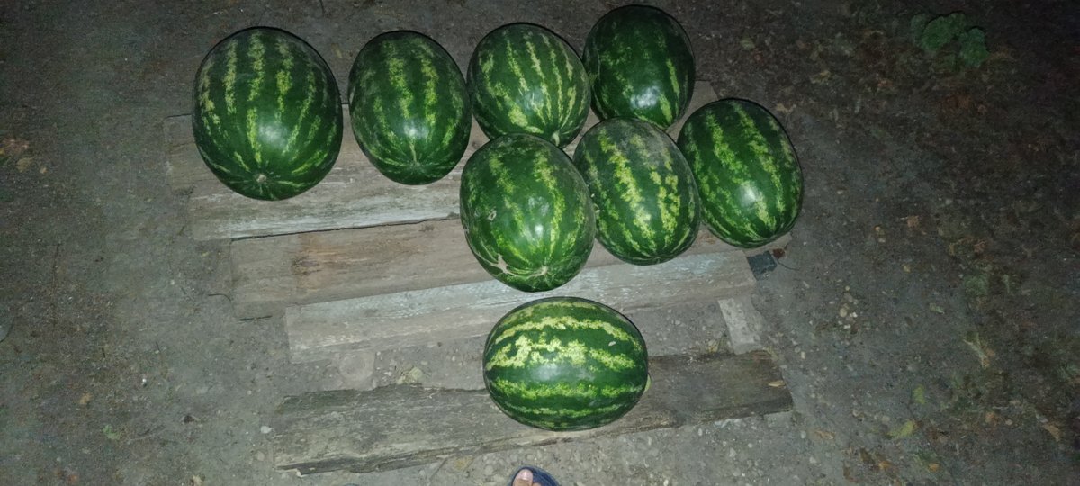 Ладно, буду свои построения и планы заводов сюда скидывать как бескон… — Satisfactory · Стрекоза