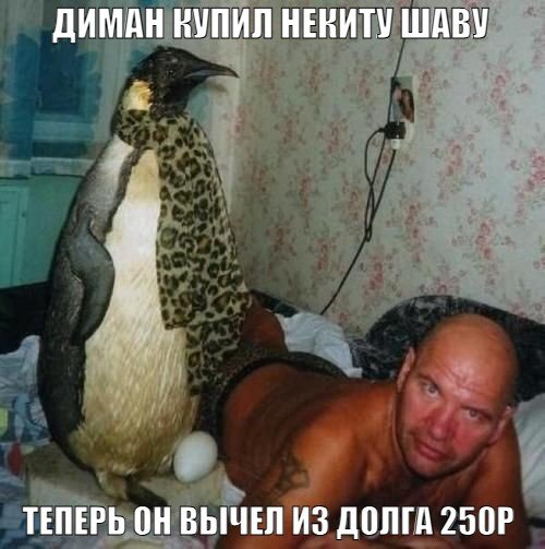 Сто восемь. О музыке. Те, кто долго жил среди пидарасов, говорят, что… — Yakoo_COLD · Стрекоза