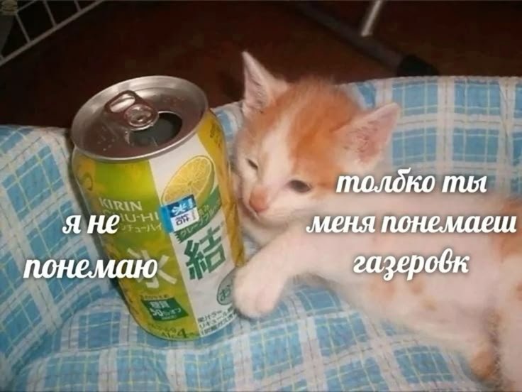проста — ChetTJ · Стрекоза
