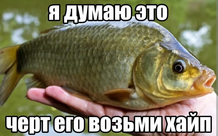 я раз в месяц буду постить сюда забавности некие, шо думаете, меня со… — gxretsky · Стрекоза