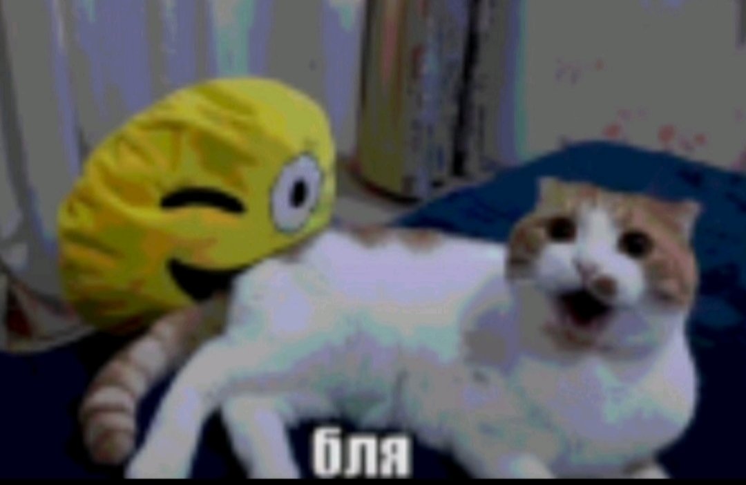 бля заибало — Snaff · Стрекоза