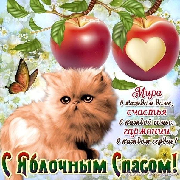 С яблочным спасом, братва🍎🍎🍎🍎 — BblDlo · Стрекоза