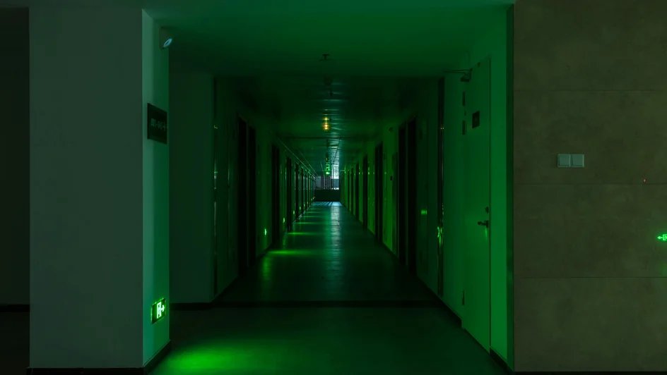 Эмбиент бесконечных офисных или университетских коридоров, не освещае… — Rozerov · Стрекоза