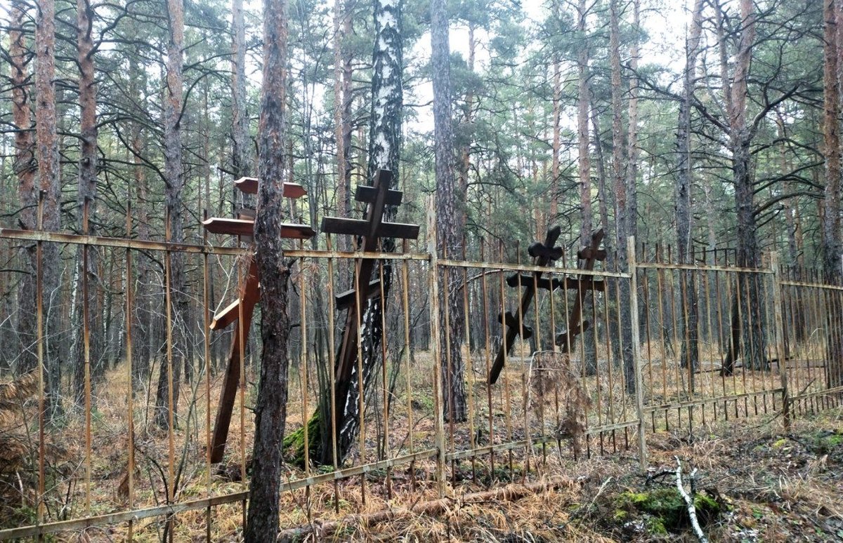 Зимнее шествие по сомнительным пустырям и лесам ЧАСТЬ 2 — dead_angel_cowboy · Стрекоза