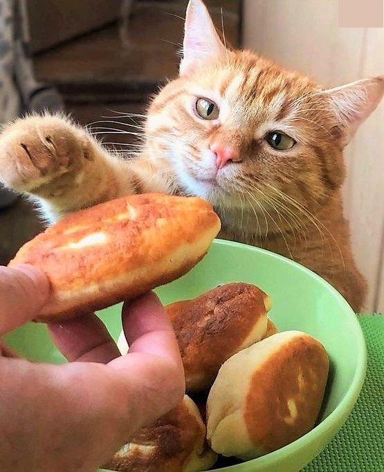 чювак не кроди мои пышки — NUG · Стрекоза