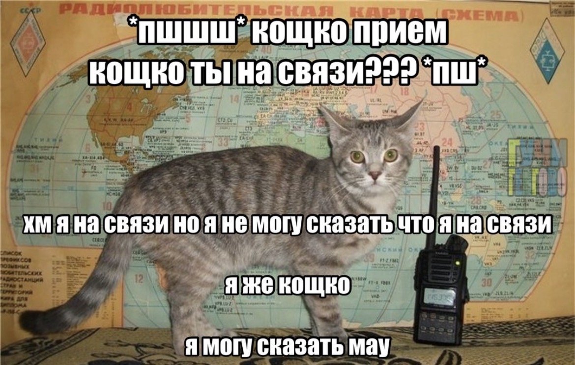 Будь сильным, не имей совести и не пость 10 дней — the_dtrikkster · Стрекоза