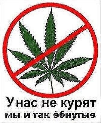какова формула успеха с стрекозе? — kirill228 · Стрекоза