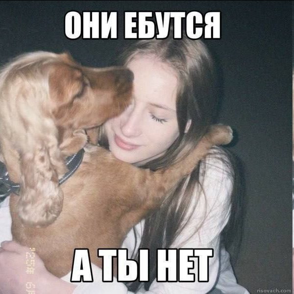 Какова вероятность, что админ всё же сможет найти себя тяночку на стр… — Kotofeycommander · Стрекоза
