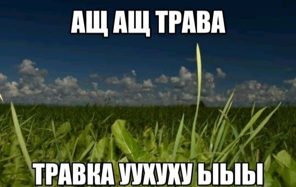 меняю свою аву на хуйню — Snaff · Стрекоза