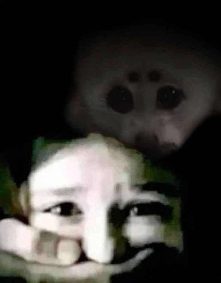 Хочу гавайскую пиццу. Это грех или божье провидение? — Silly_woman · Стрекоза