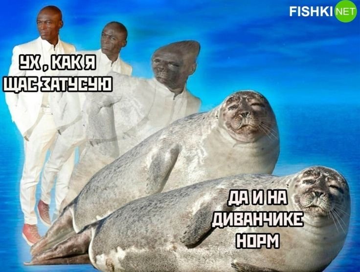 Лежать бы да тюлениться как-то. — Silly_woman · Стрекоза
