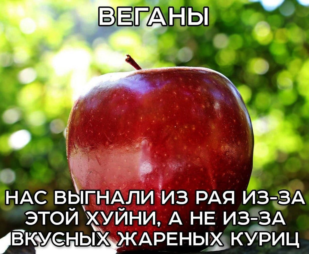 Камбек. — Last_Dance · Стрекоза