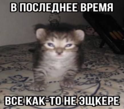Медиа-персоны - скрытые боги Все знают про «синдром бога», «звёздную… — причины одиночества или почему тебе даже психолог не поможет · Стрекоза