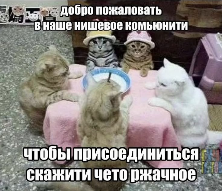 хелло — heqqa · Стрекоза