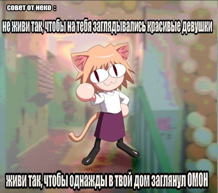Что хорошего нужно успеть сделать в жизни, чтобы не чувствовать, что… — Kotofeycommander · Стрекоза