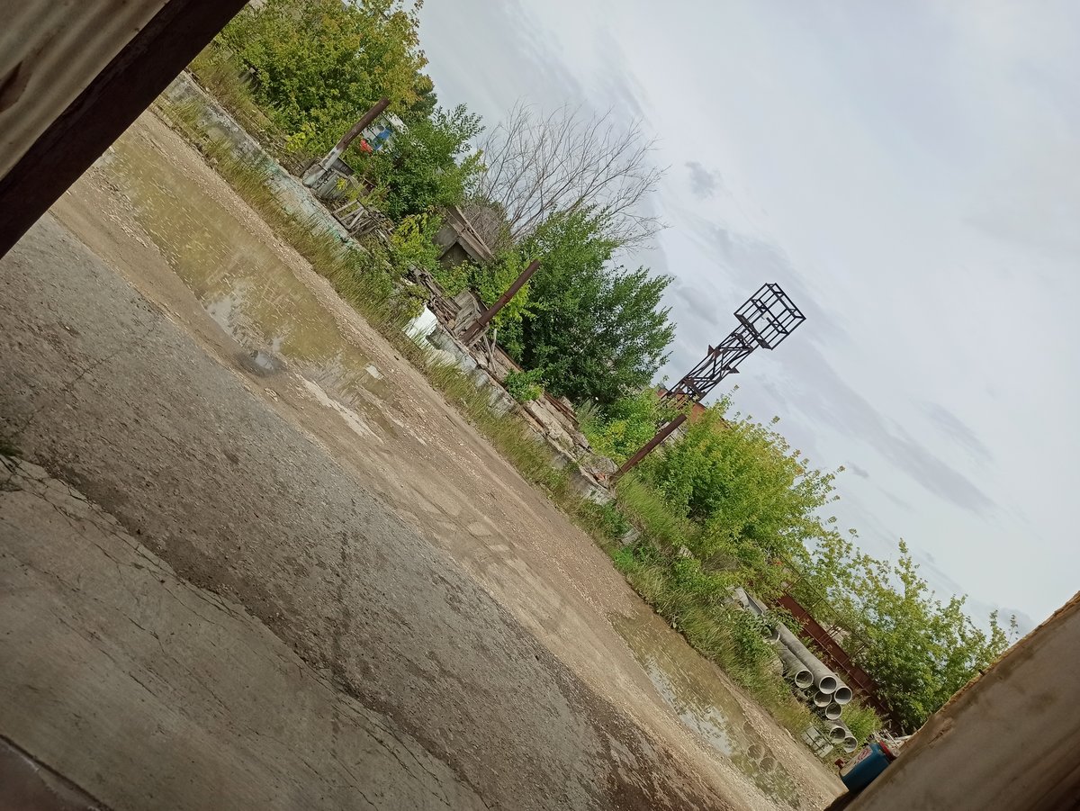 Заново заново заново охуеваю от запаха нового дня — mmmrrraaazzz1 · Стрекоза