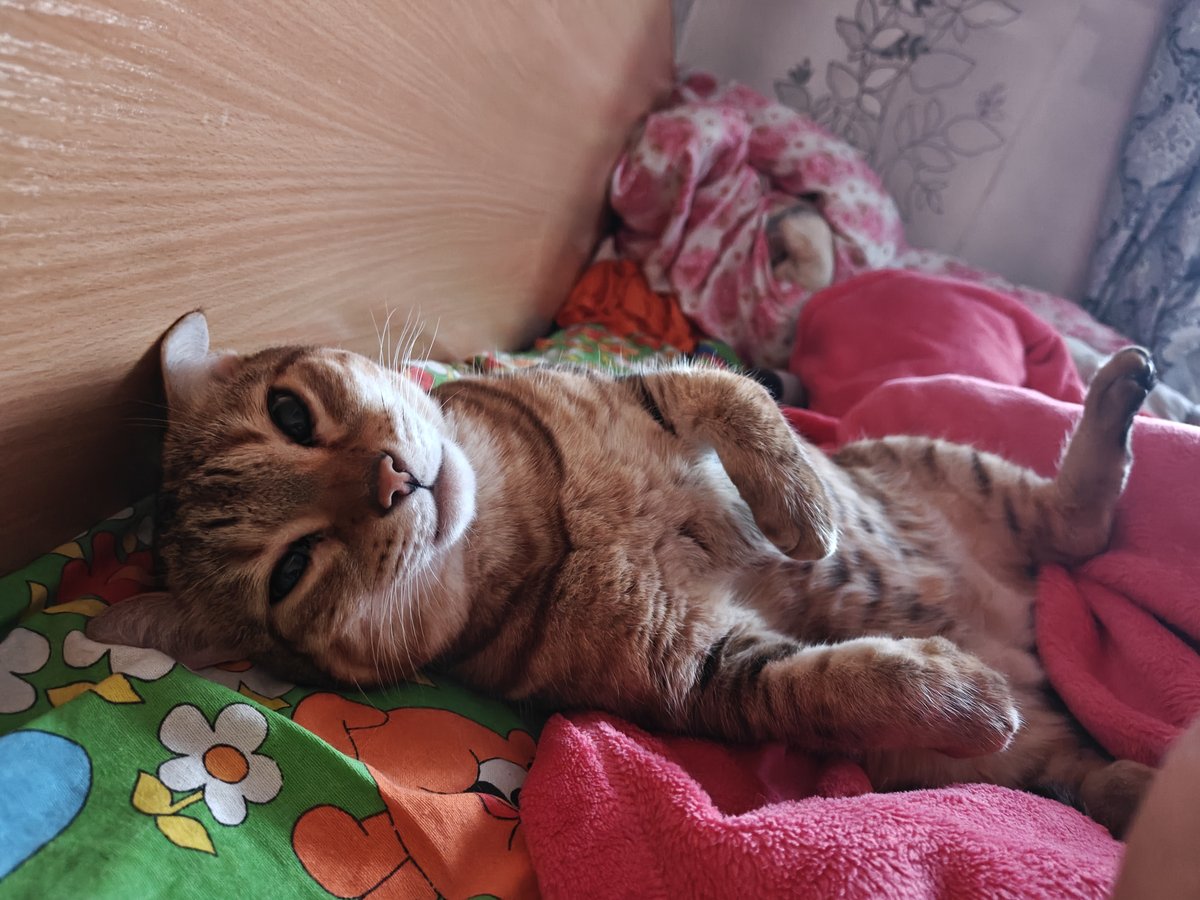 смешной придурок — Snaff · Стрекоза