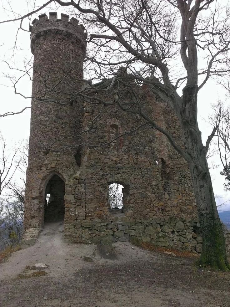 Живописные руины Замка князя Генриха, расположенного на холме Гродна… — Medieval · Стрекоза