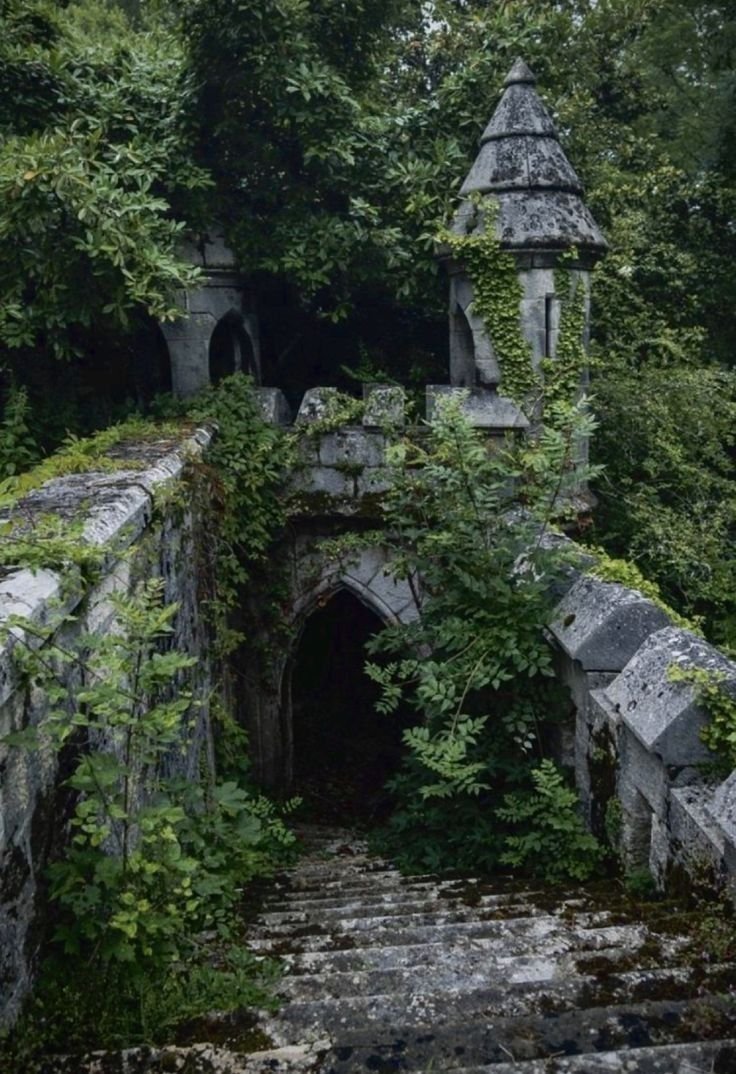 Точное местонахождение объекта в открытых источниках не указано, пред… — Medieval · Стрекоза