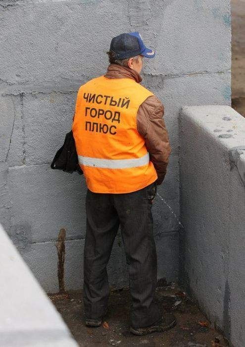 вот они, герои 1!!1! — ХАЙПанём немношка · Стрекоза